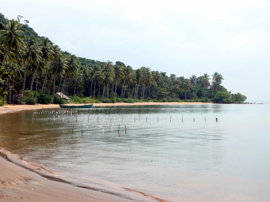 Rabbit Island Beach