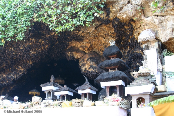 Cave and bats