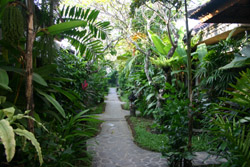 Putu Bali Villas