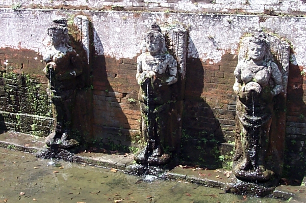 The water maidens of the courtyard pools