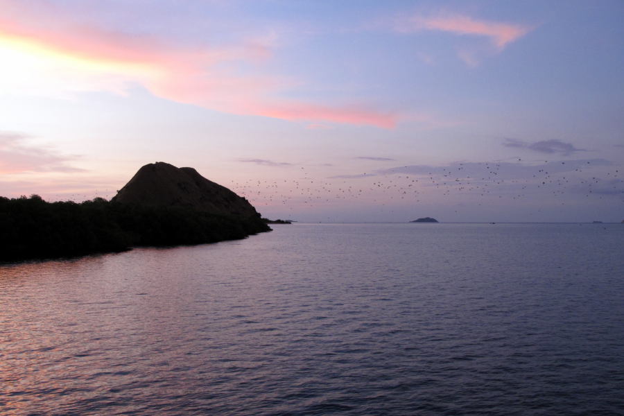 Sunset at Bat Island