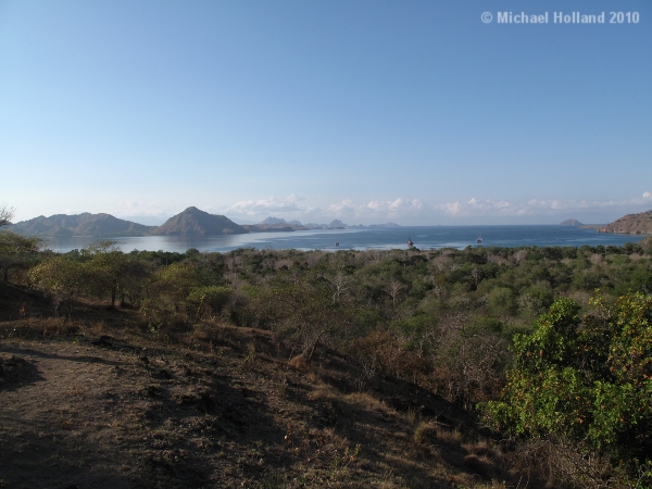 View from Komodo
