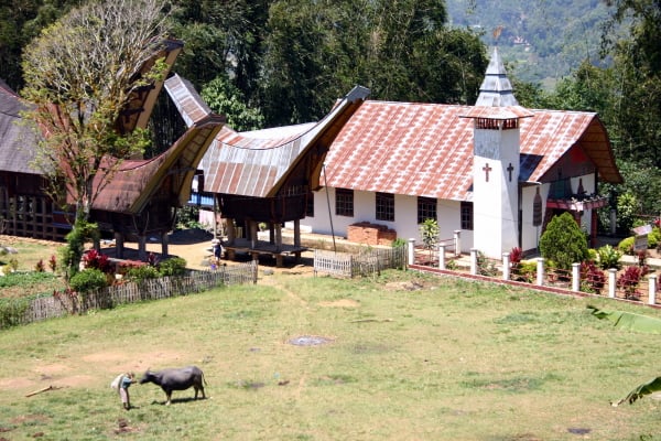 A buffalo, a church, and traditional houses.