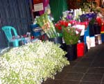 Flower market