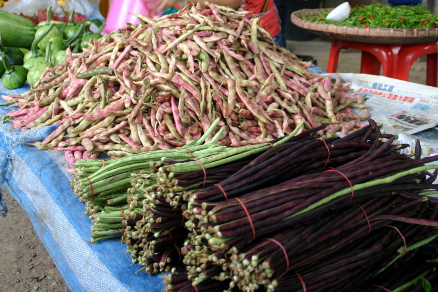 Hill Tribe Market