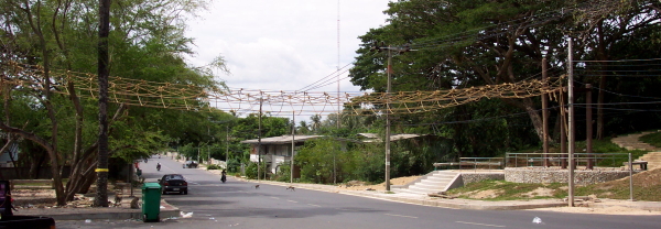 Monkey Bridge