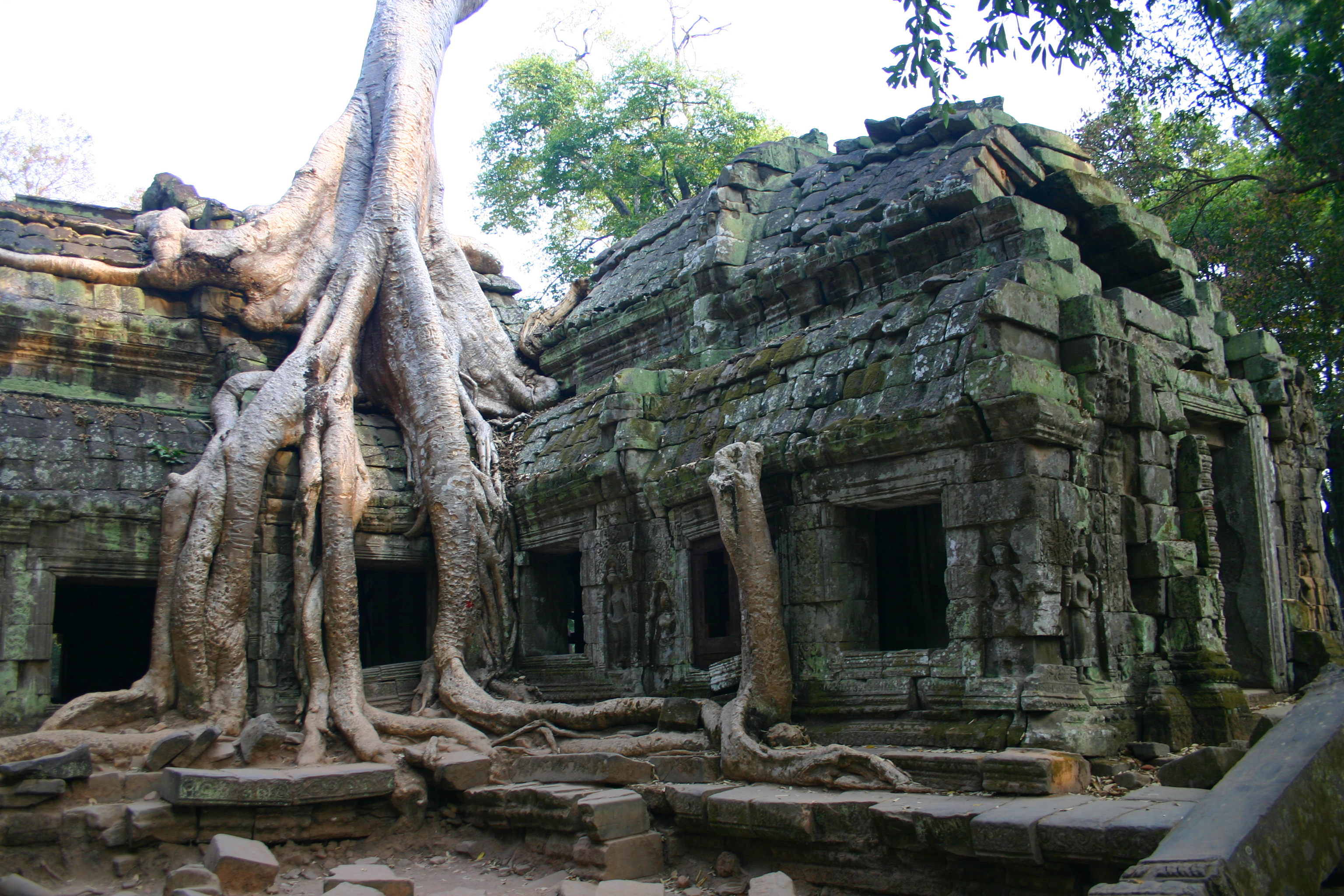 Ta Prohm