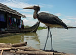 Tonle Sap