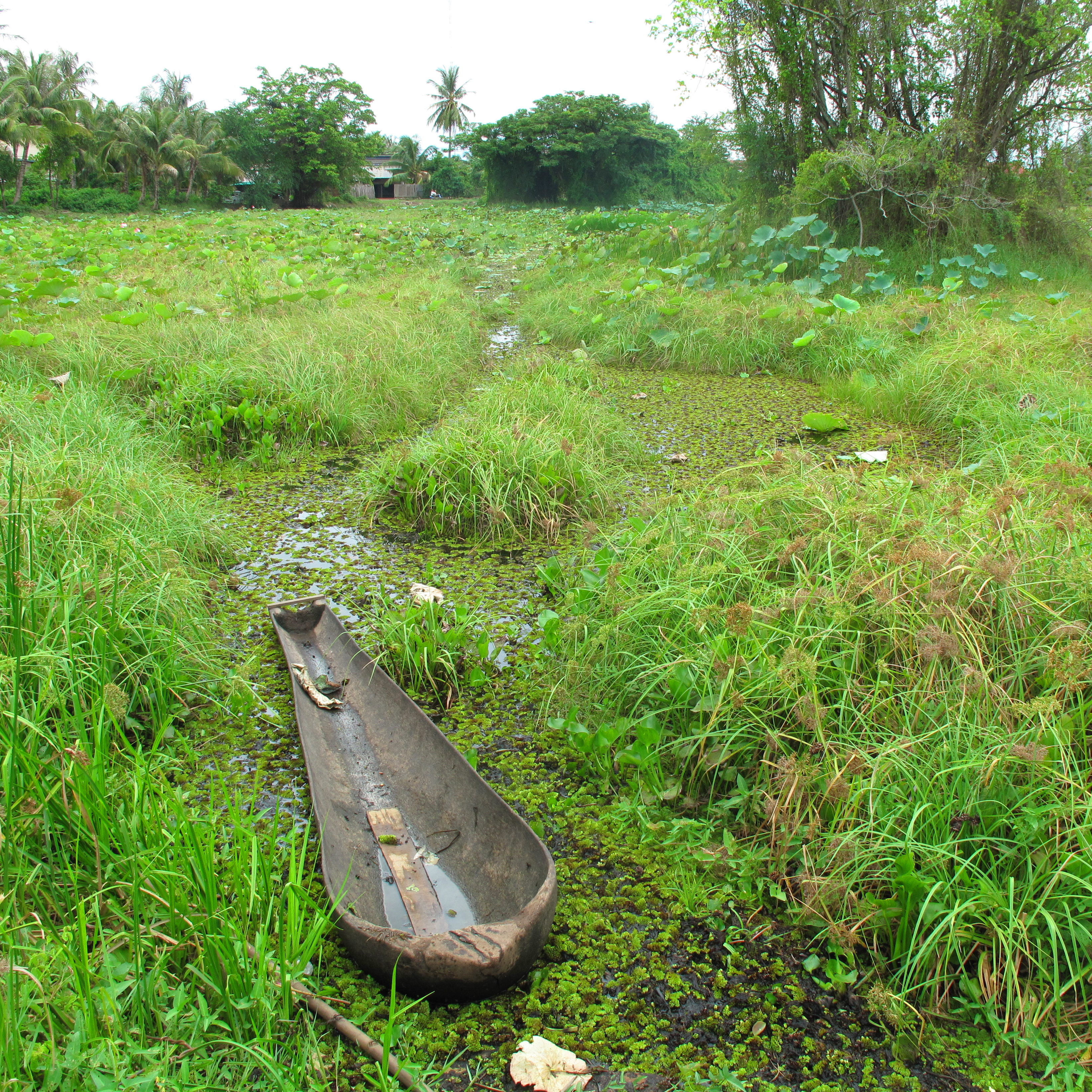 Old boat