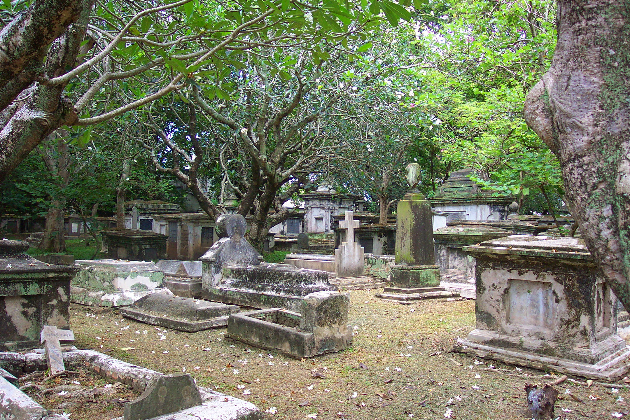 View of the cemetery's many graves in various states of disrepair